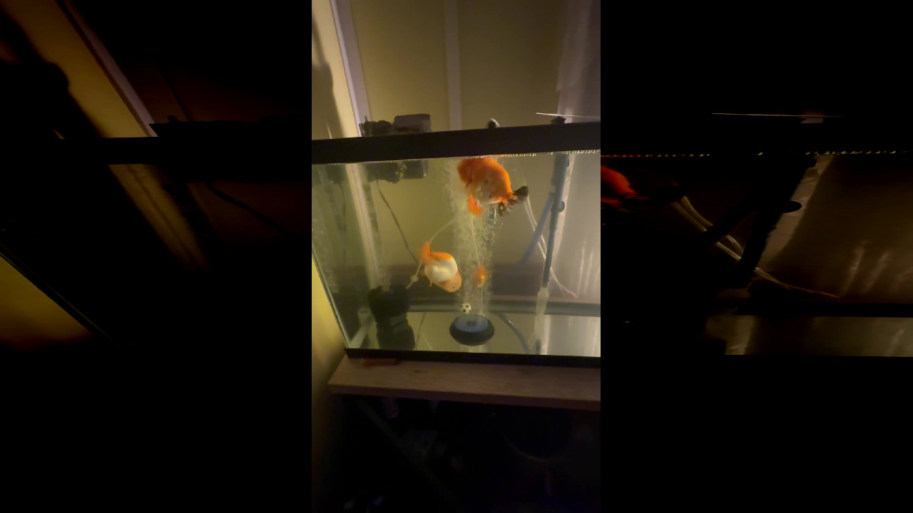 file_thumbnail