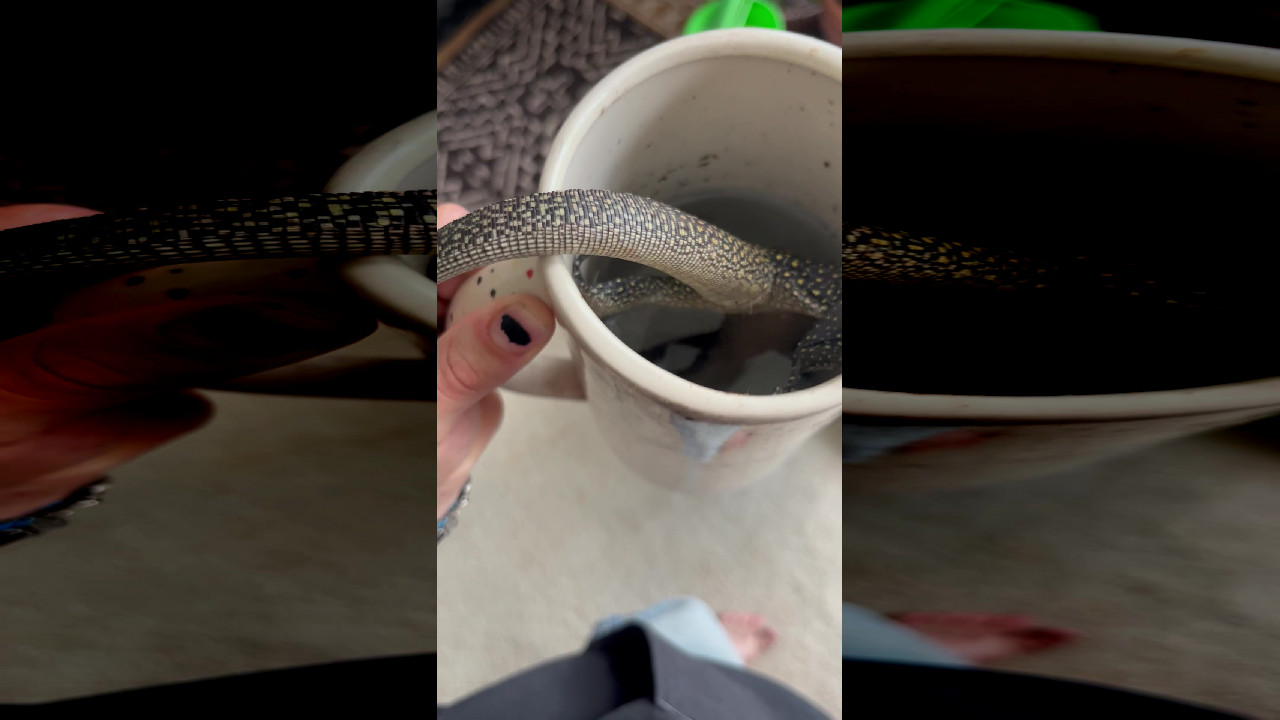 file_thumbnail