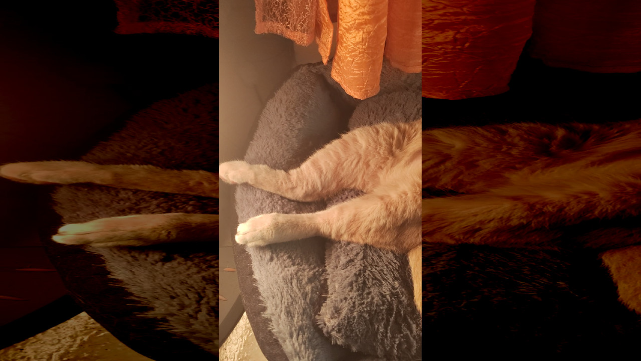 file_thumbnail