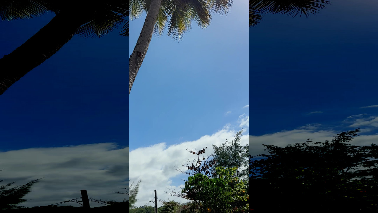 file_thumbnail