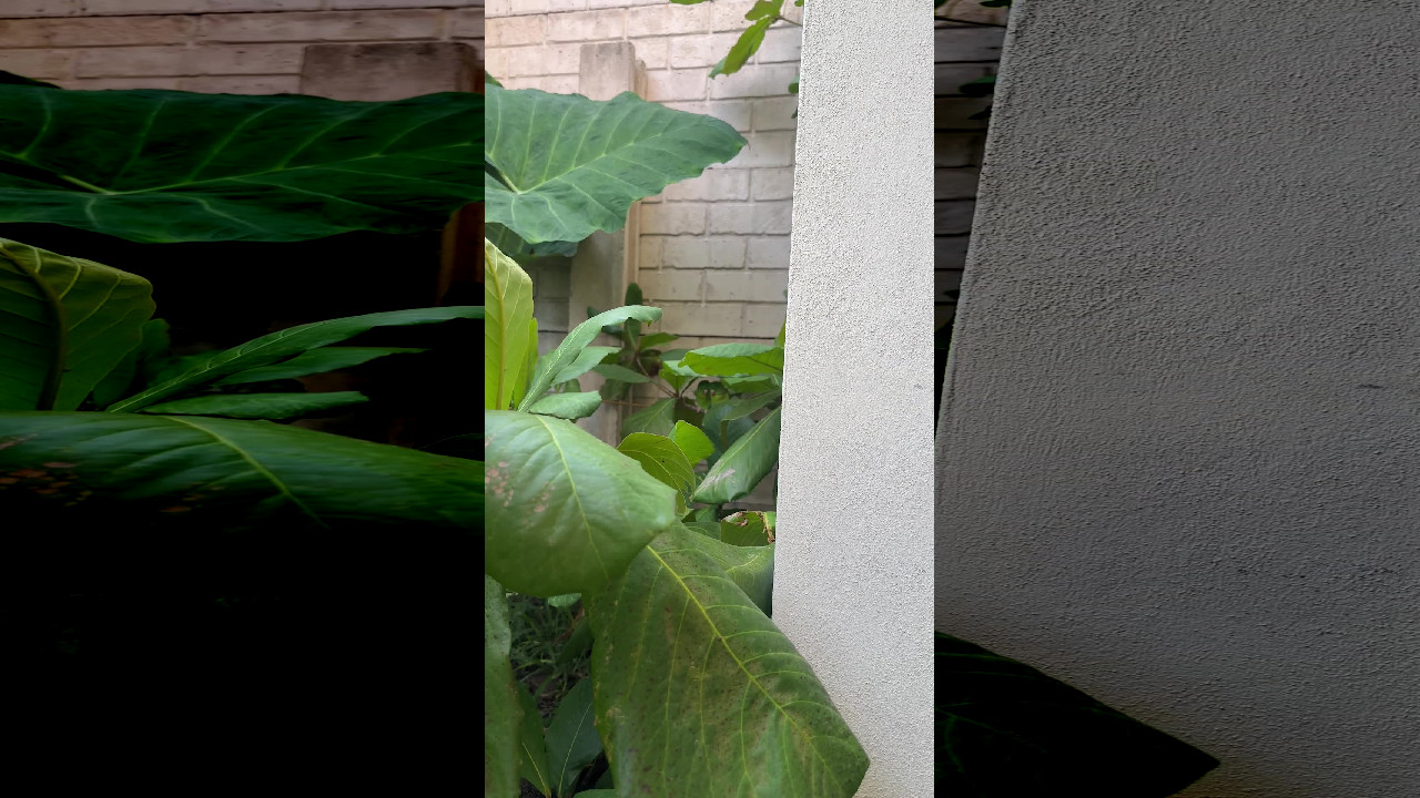 file_thumbnail