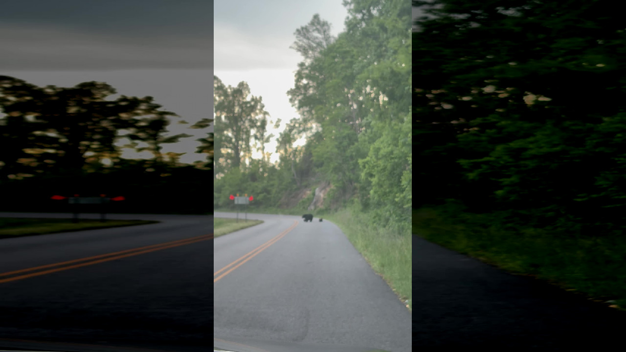 file_thumbnail
