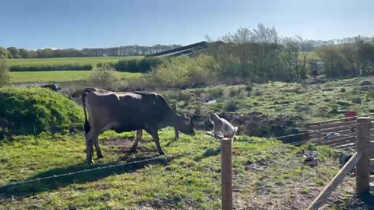 file_thumbnail