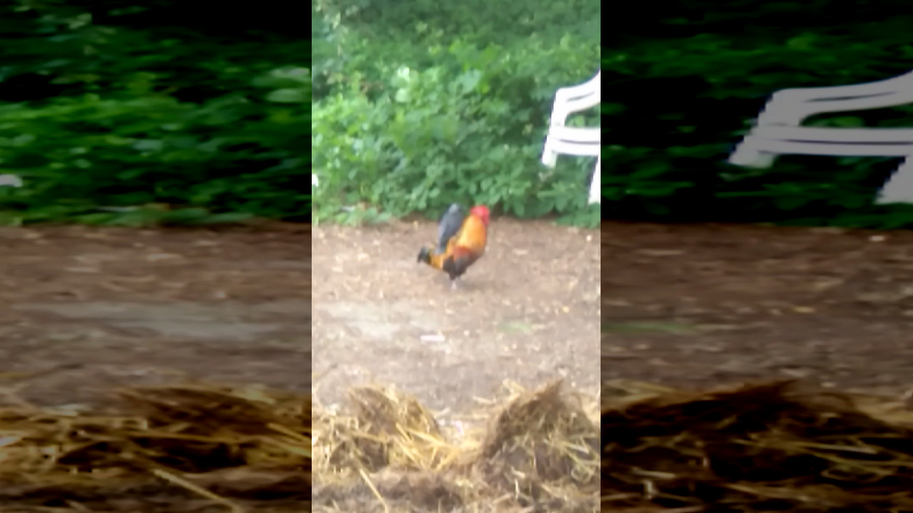 file_thumbnail