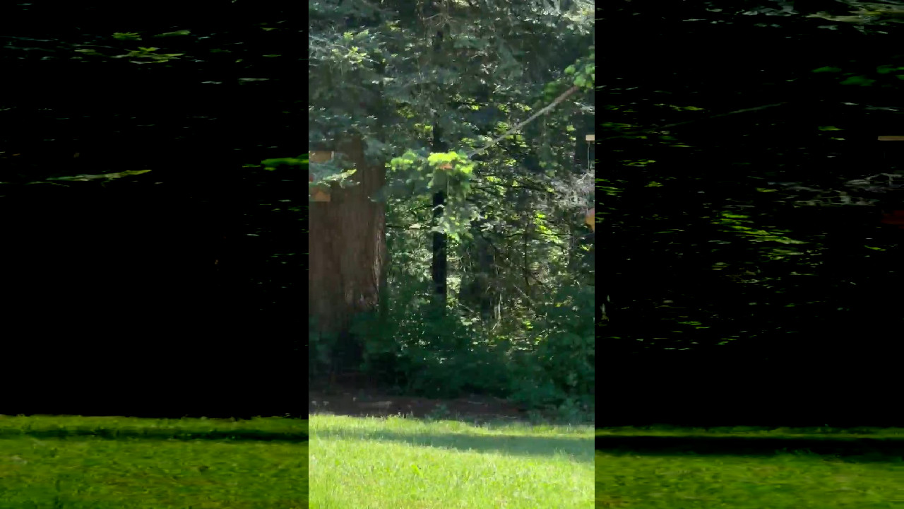 file_thumbnail