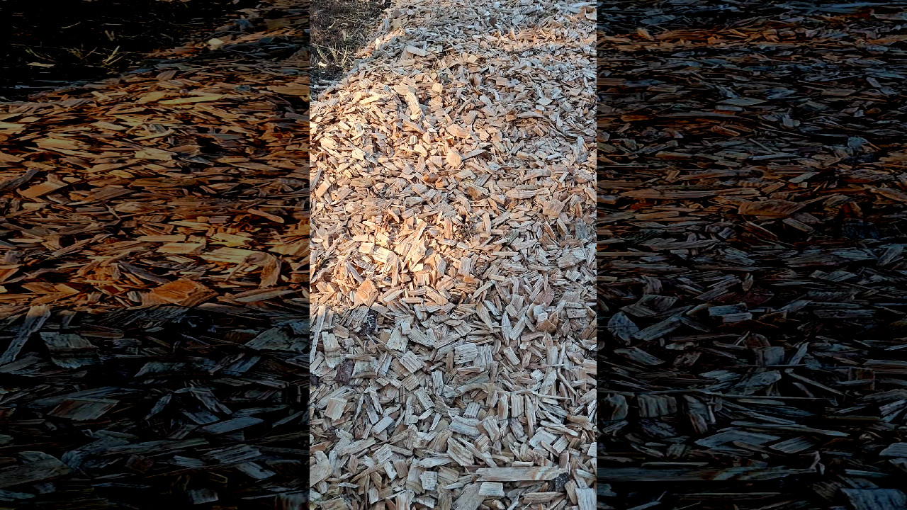 file_thumbnail