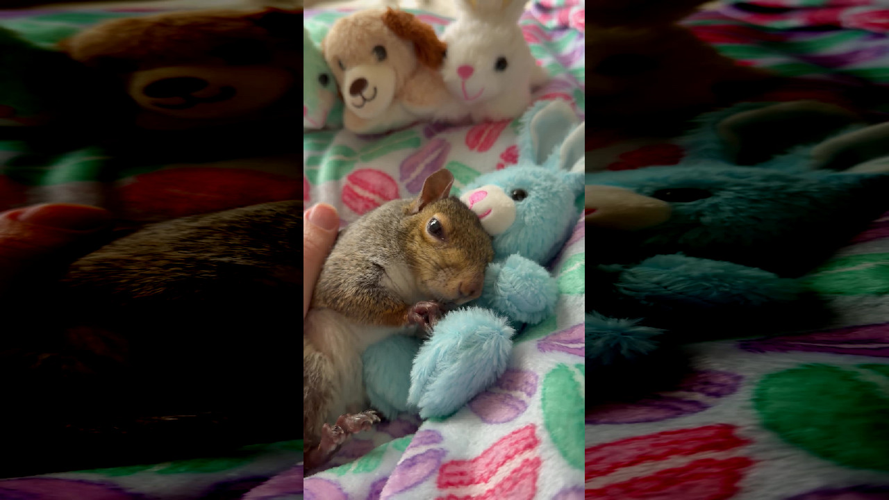 file_thumbnail