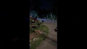 file_thumbnail
