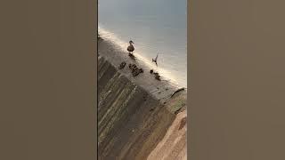 file_thumbnail