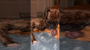 file_thumbnail