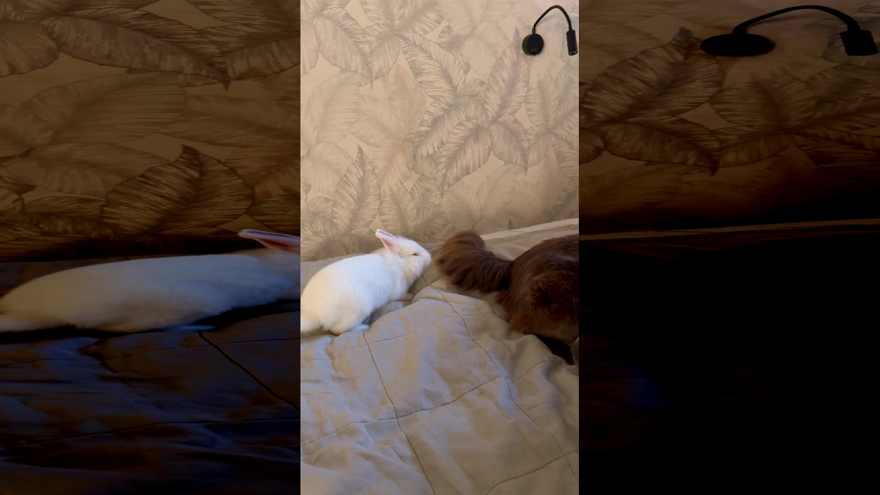 file_thumbnail