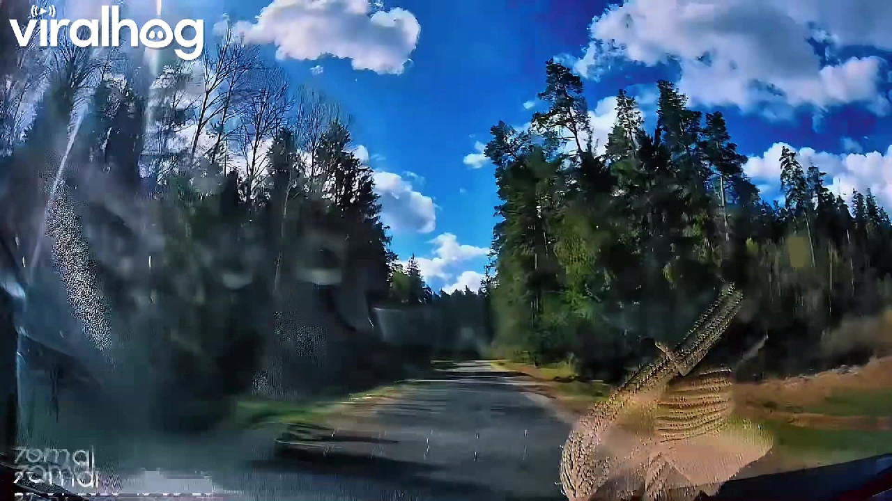 file_thumbnail