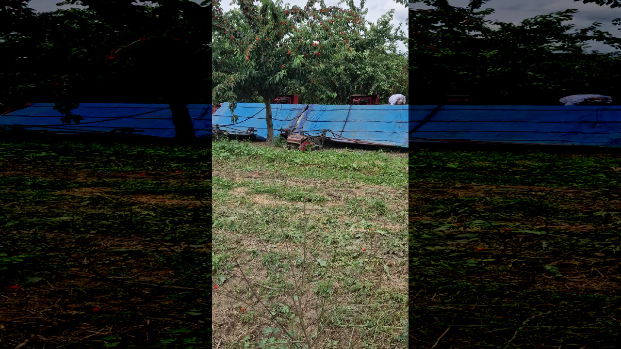 file_thumbnail