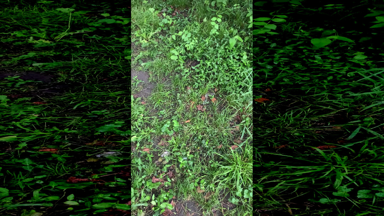 file_thumbnail