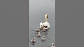 file_thumbnail