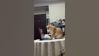 file_thumbnail