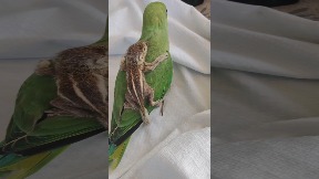 file_thumbnail