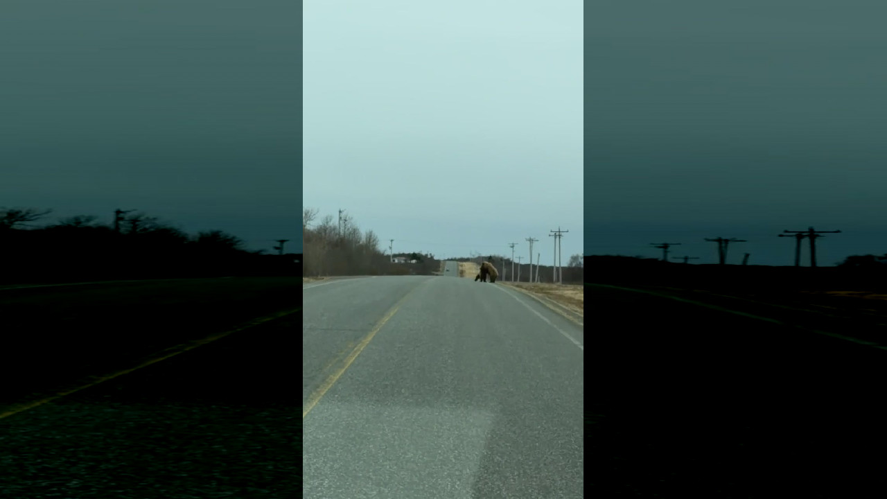 file_thumbnail
