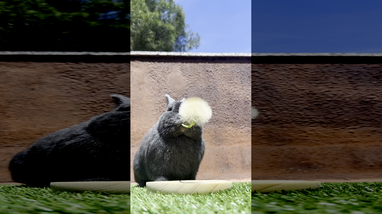 file_thumbnail