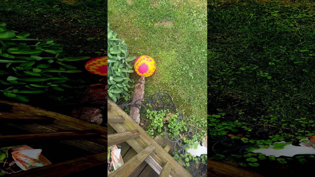 file_thumbnail