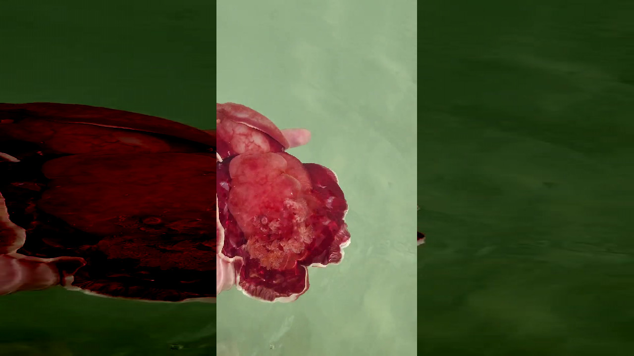 file_thumbnail