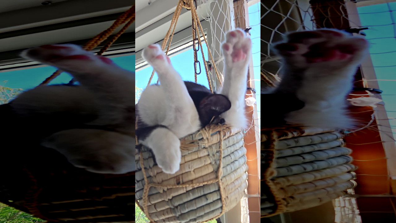 file_thumbnail