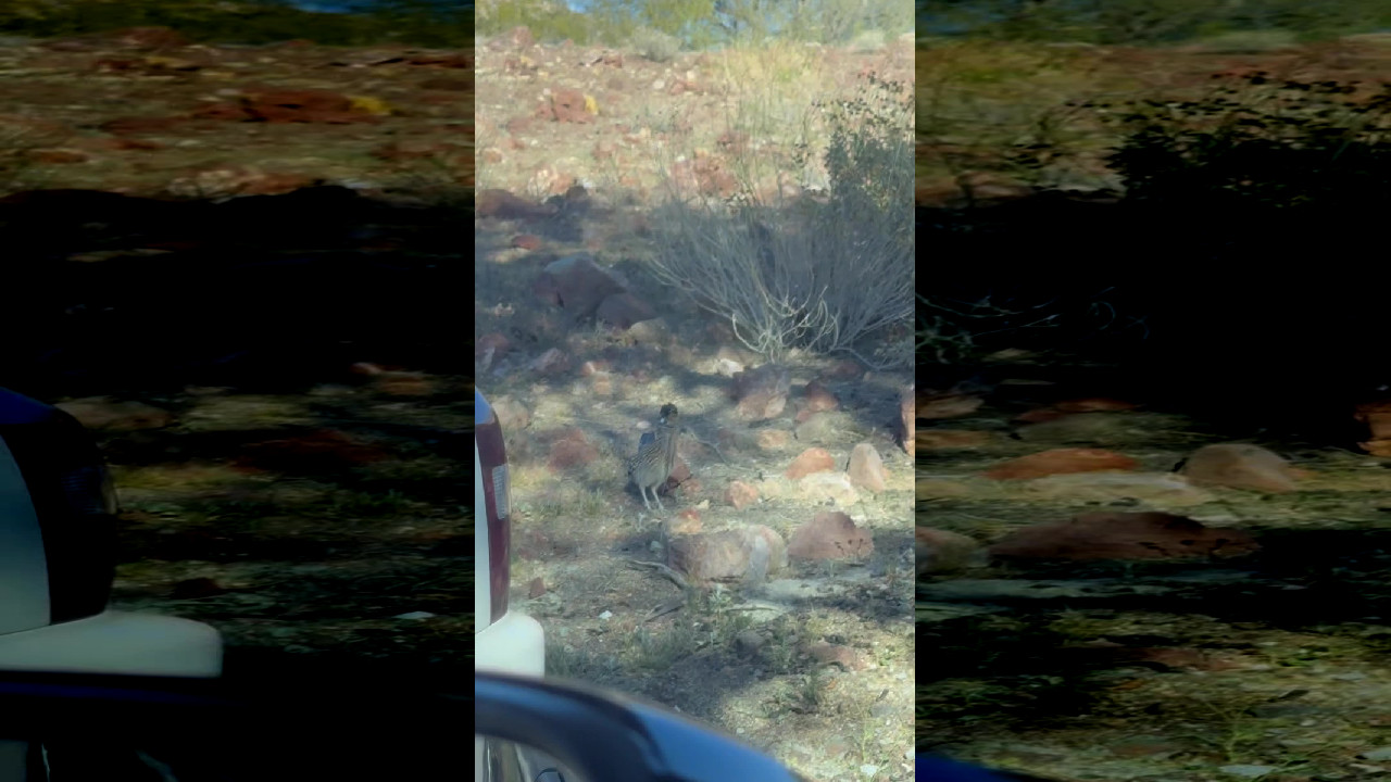 file_thumbnail
