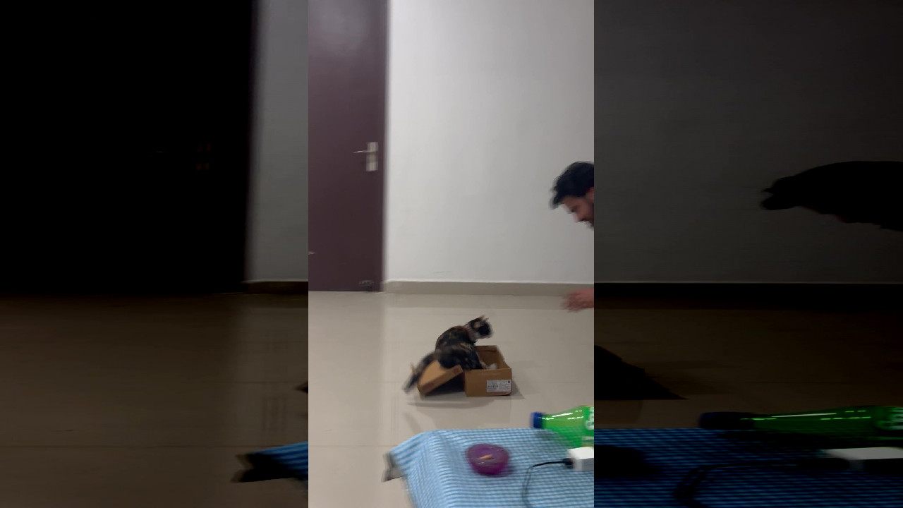 file_thumbnail