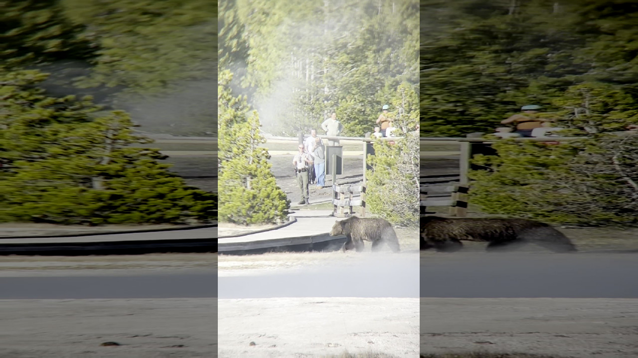 file_thumbnail