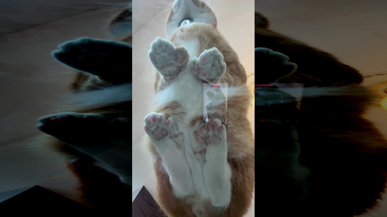 file_thumbnail