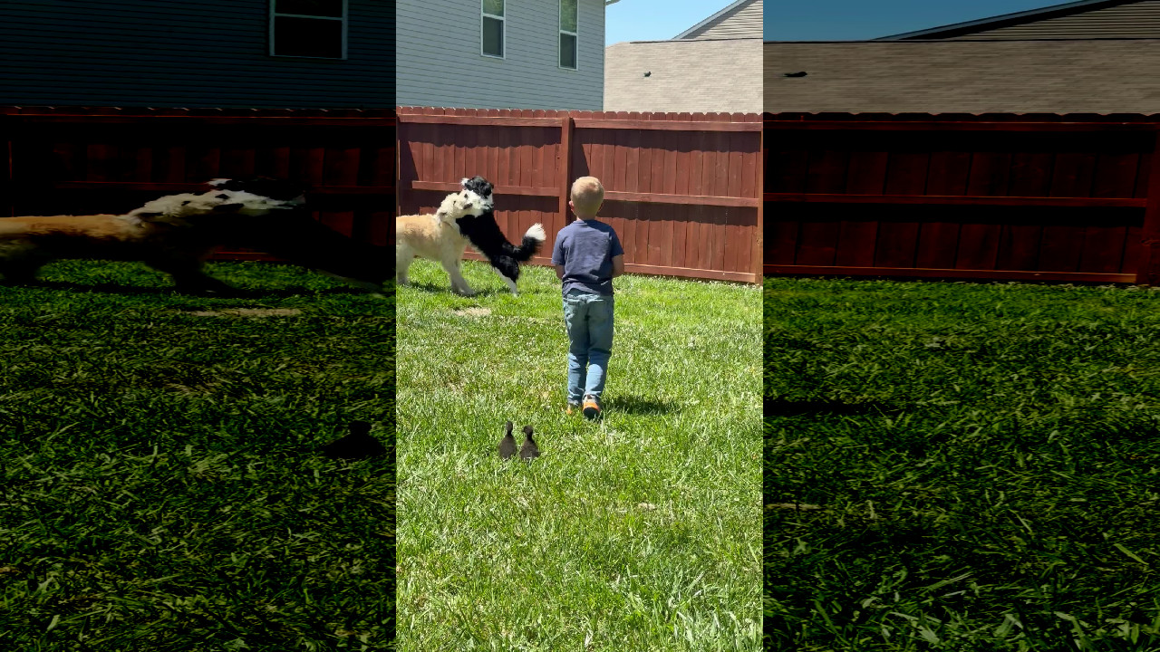 file_thumbnail