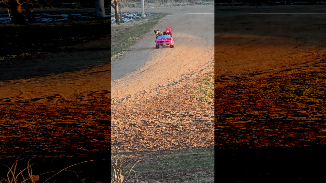 file_thumbnail
