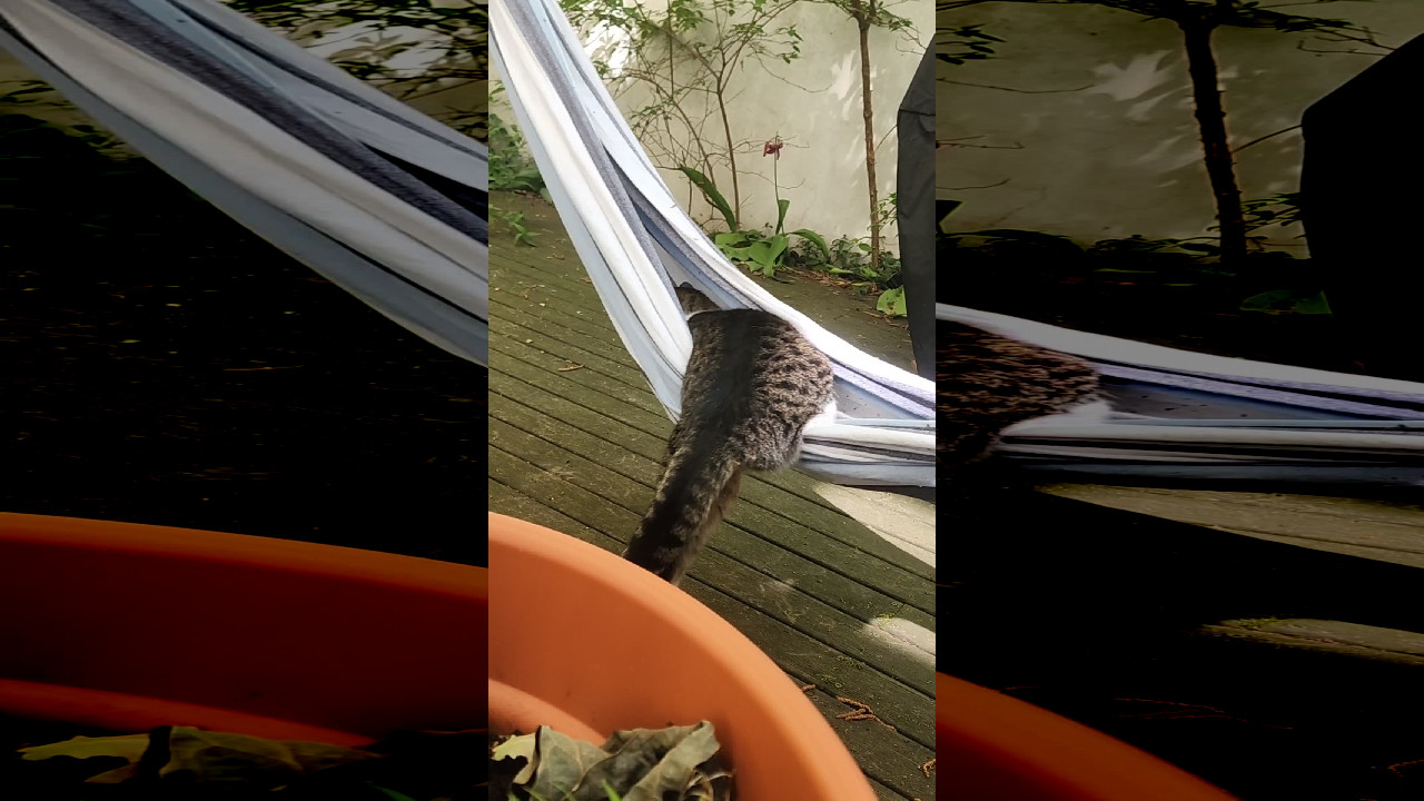 file_thumbnail