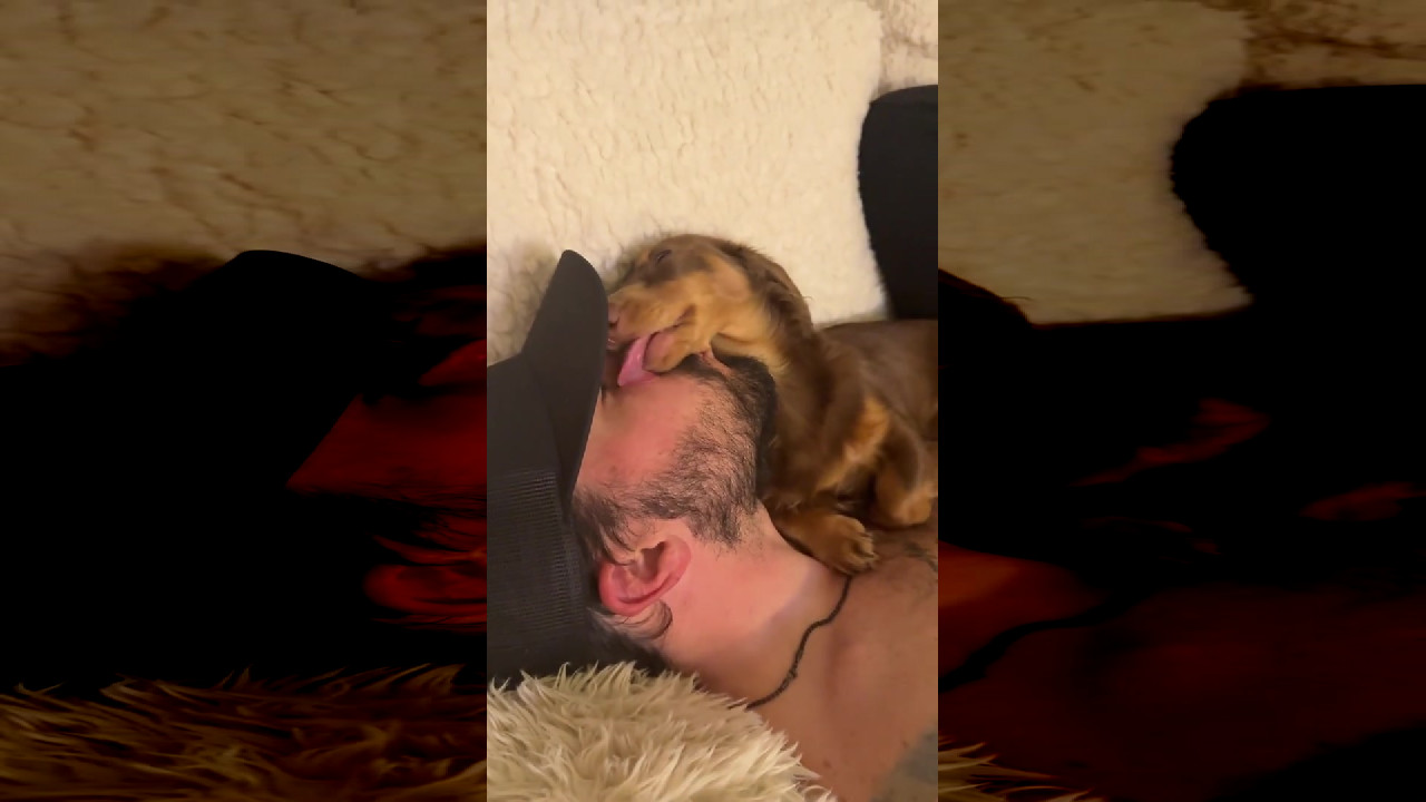 file_thumbnail